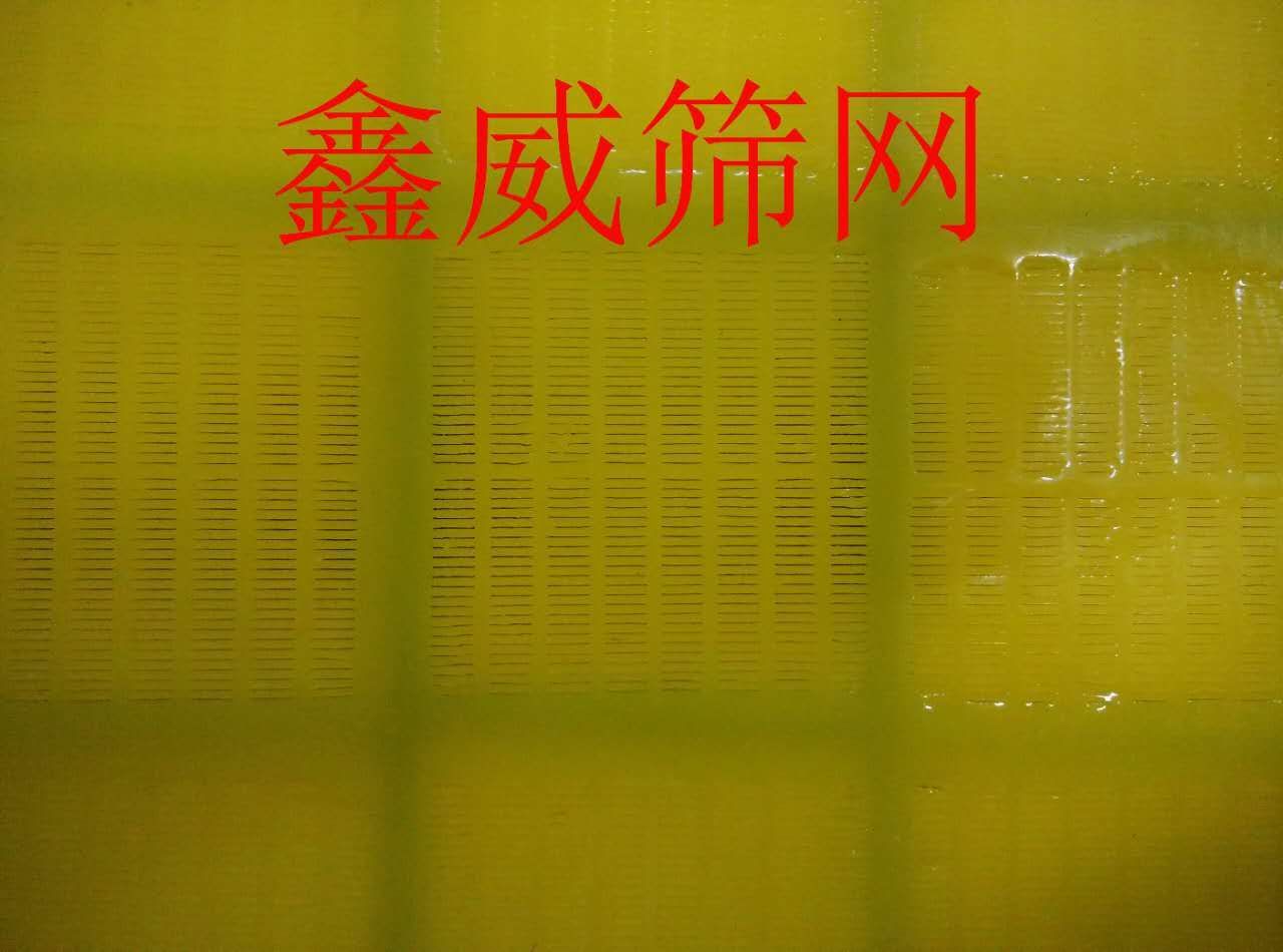 聚氨酯篩網(wǎng)